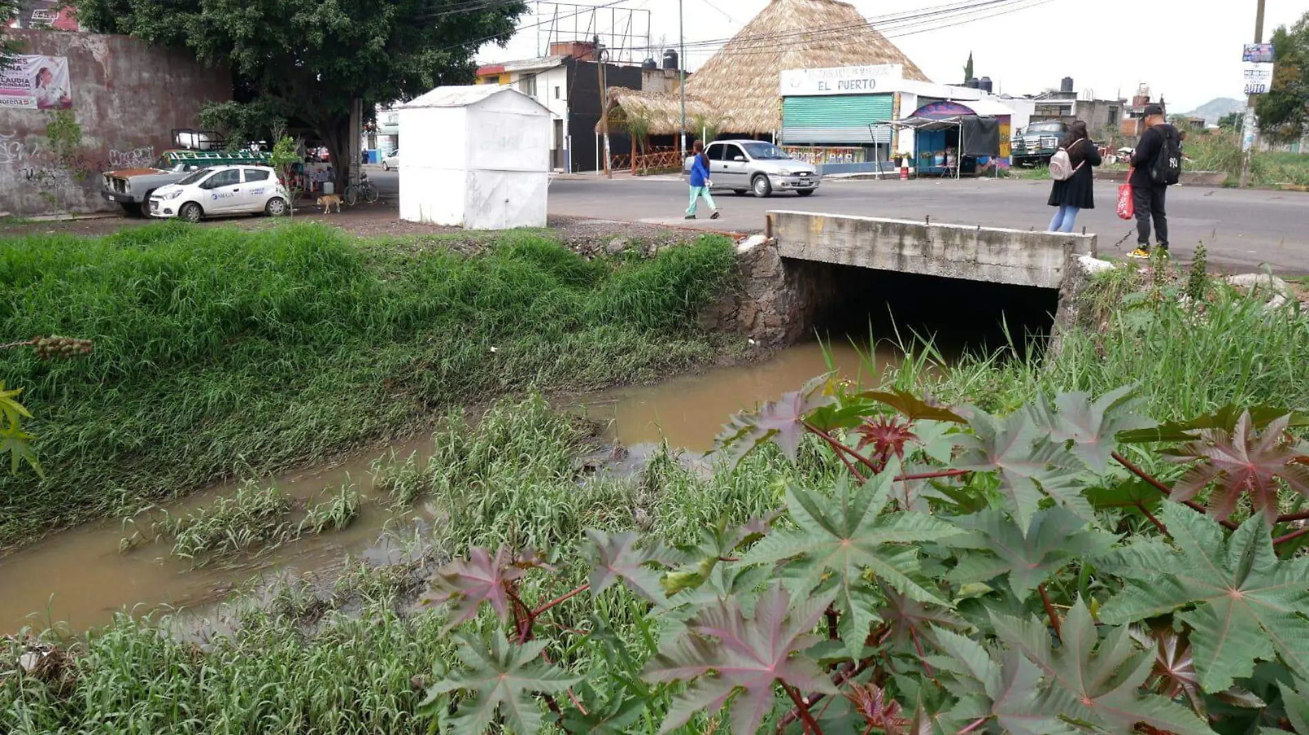 Dren Quinceo en la Avenida Torreón Nuevo